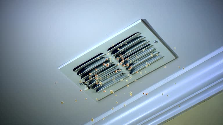 Professional Airduct Cleaning in Stedman, NC