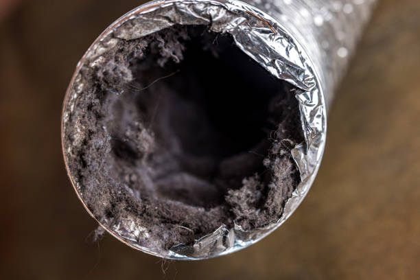 Best Affordable Duct Cleaning Services  in Stedman, NC