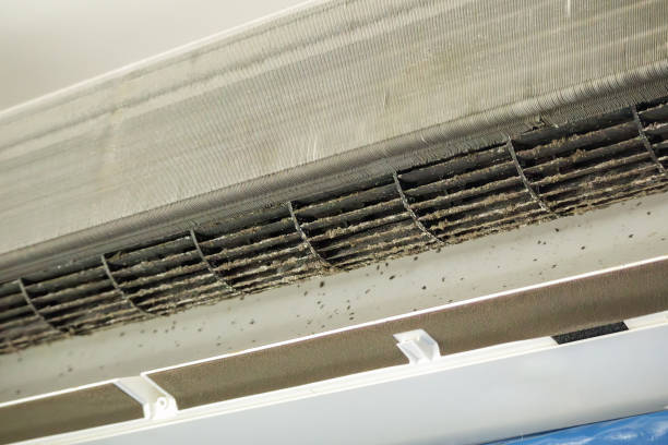 Best HVAC Air Duct Cleaning  in Stedman, NC