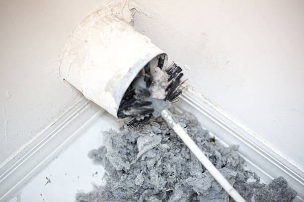 Best HVAC Duct Inspection Services  in Stedman, NC